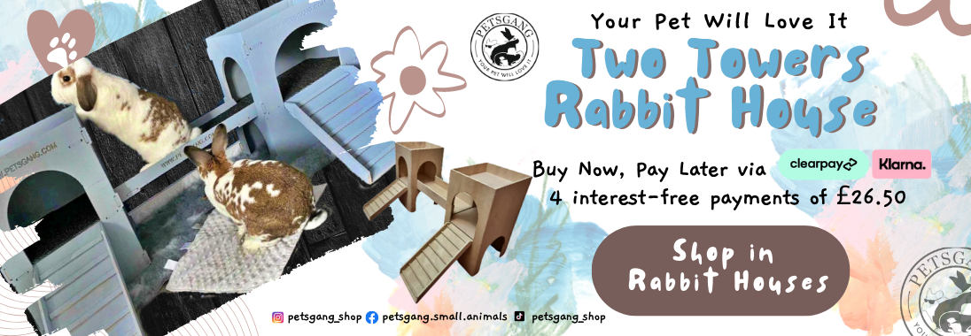 PETSGANG houses for rabbit, guinea pig, tortoise, hamster, cat and dog ...