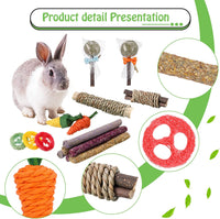 Bunny hotsell chew toys