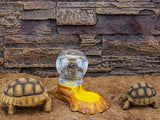 Wasserspender für Reptilien