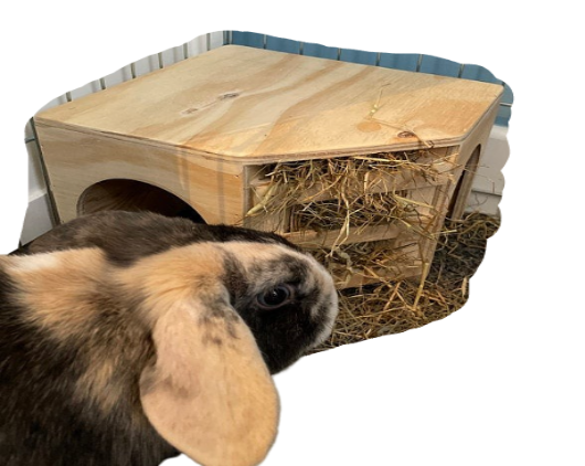 Rabbit Hay Feeder PETSGANG HOUSES